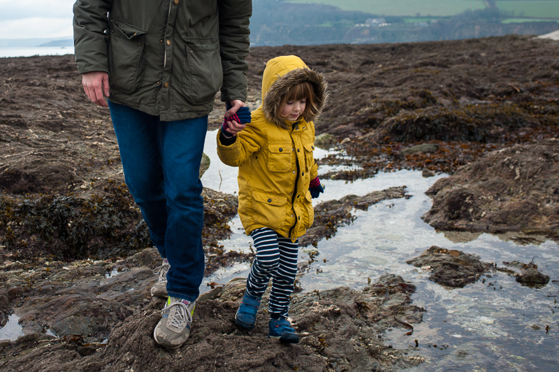 Boy rock pooling in Falmouth in Cornwall