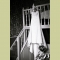 Weddings

