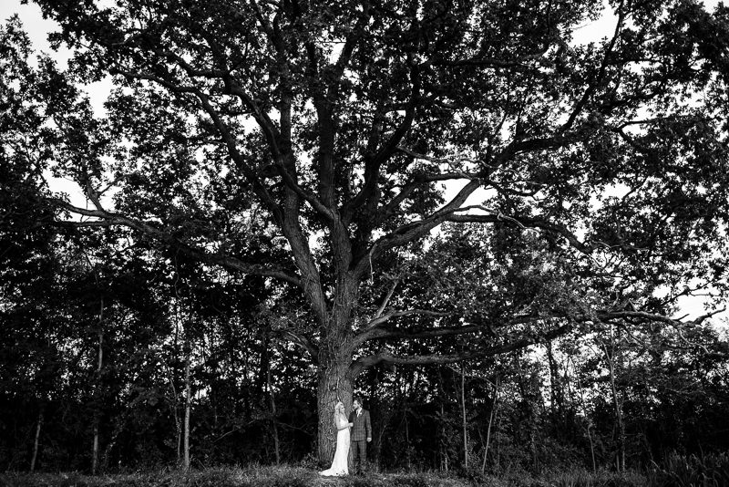Bride and groom portrait with tree