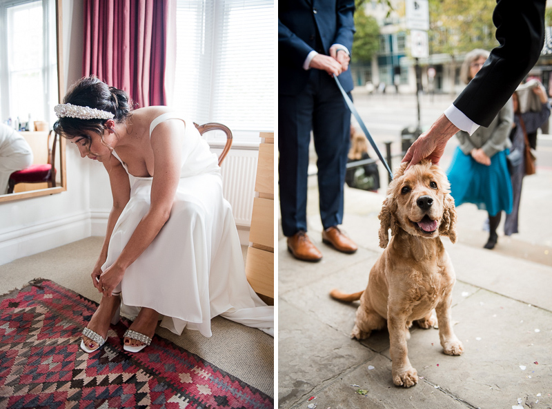 Dog attending wedding at Old Marylebone Town Hall